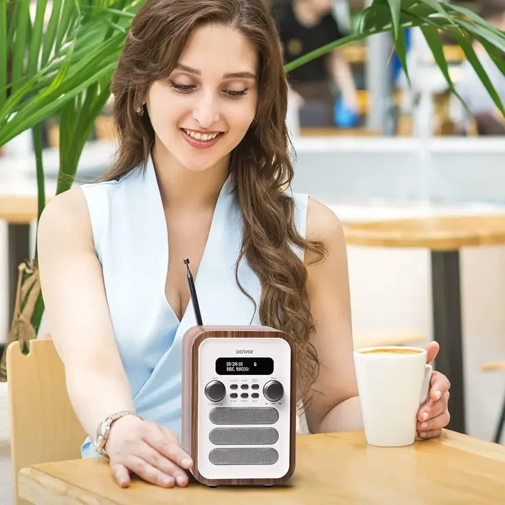 DAB+/FM Radio Bluetooth Alarm Afstandbediening