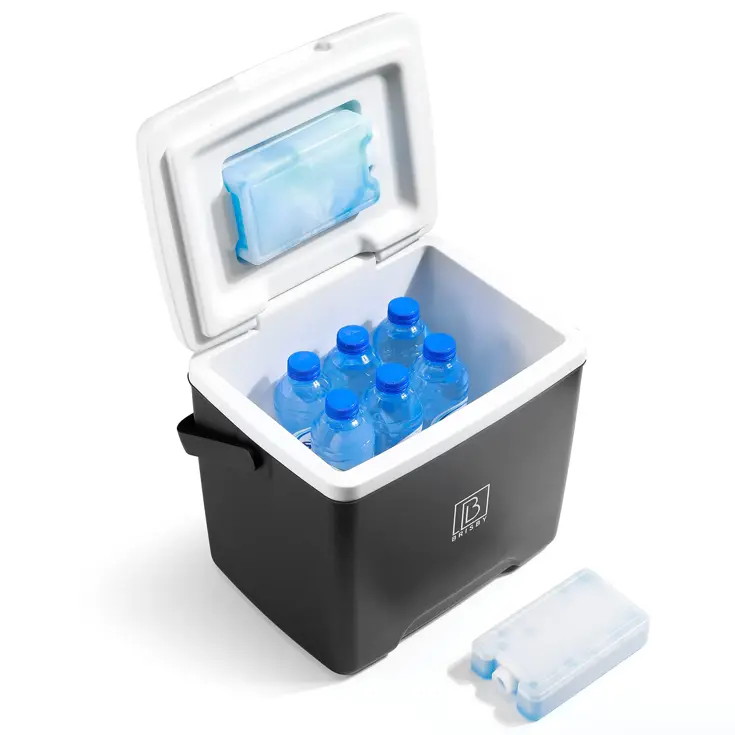 Koelbox - Lunchbox - 13L