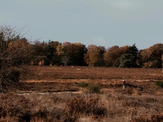Fietsen bij het Gooi