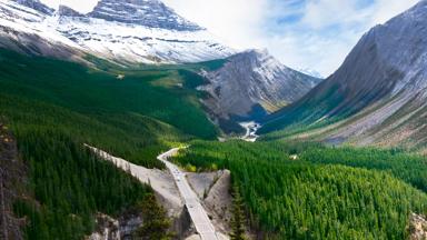canada_alberta_rocky-mountains_icefields-parkway_autoweg_bergen_sneeuw_bos