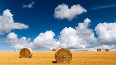 frankrijk_bourgogne_algemeen_hooibaal_hooi_wolk_zomer_getty