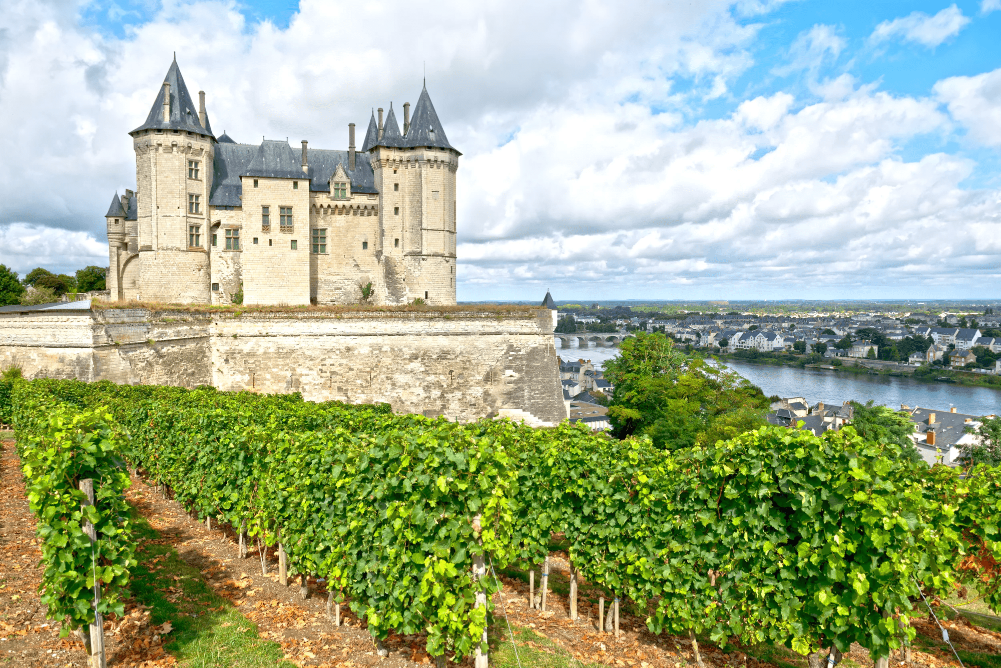6-daagse fietsrondreis Loire afbeelding