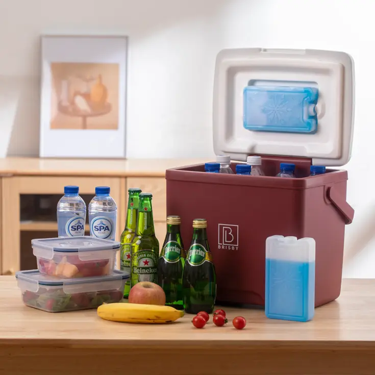 Koelbox - Lunchbox - 13L