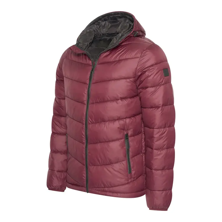 Heren Hooded Winter Jacket Cappuccino Italia