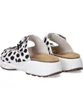 Lotus Stretchwalker Slippers Dames