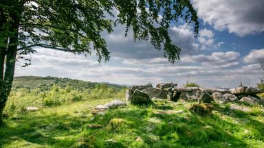 ierland_county_clare_burren_cavan_burren_park_tourism_ireland