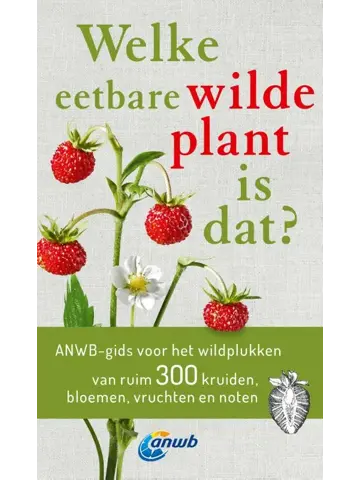 Welke eetbare wilde plant is dat?