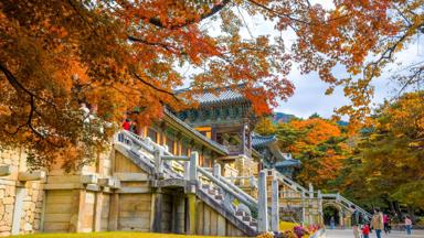 Fox_groepsreis_zuid-korea_Gyeongju_Bulguksa Temple_a