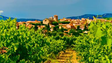 frankrijk_provence-alpes_carpentras_wijngaard_dorp_kerk_GettyImages-163375029