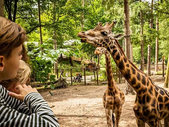 Impressie van DierenPark Amersfoort