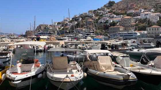 Hydra (5)