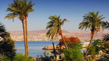 jordanie_aqaba_palmbomen_b