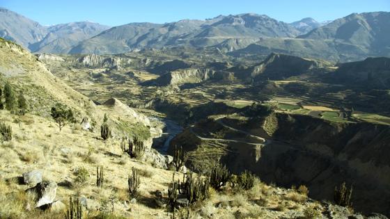 peru_colca-canyon_uitzicht_gebergte_cactus_groen_rivier_b.jpg