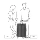 Travelite Elvaa 4 Wiel Trolley L black |102 L