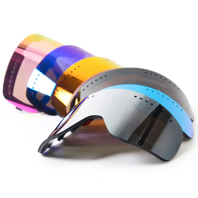 Vizorz Skibril met magnetisch vizier