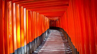japan_honshu_kyoto_fushimi-Inari-taisha-tempel_gang_b