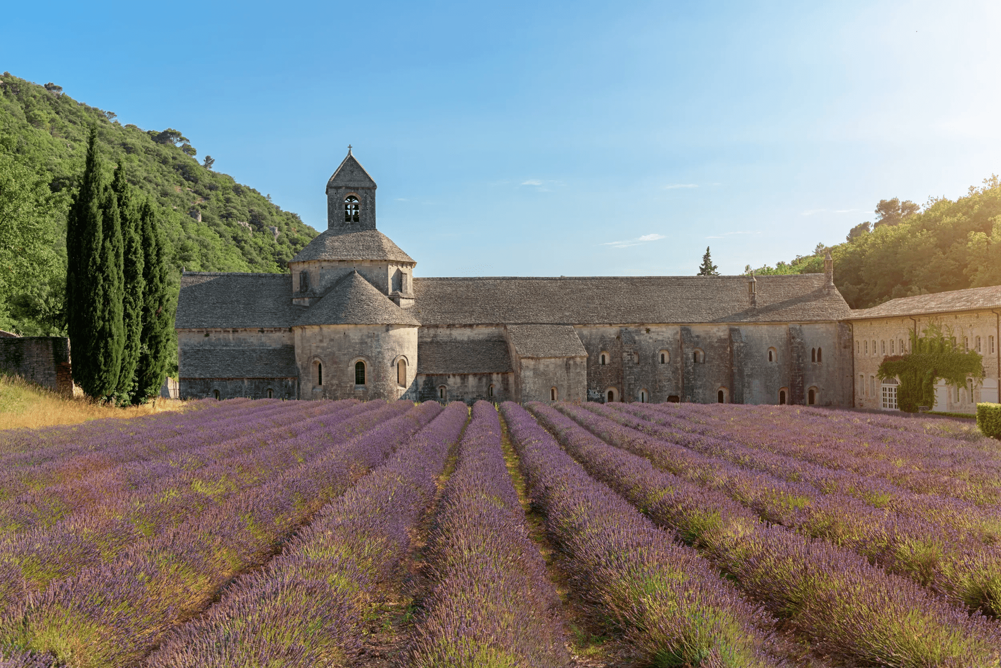 Rondreis 14-daagse rondreis Dordogne, Lot, Cevennen, Provence - Plus Beaux Villages in Albi (Diversen, Frankrijk)