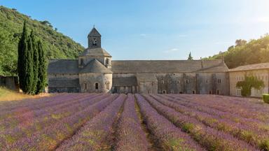 frankrijk_provence_senanque_abdij_lavendel_getty-518676780