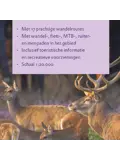 Falk wandelkaart- Veluwezoom en Deelerwoud