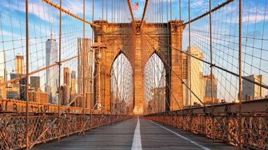 verenigde-staten_new-york-city_brooklyn-bridge_leeg_zon_gebouwen_world-trade-center_blauwe-lucht_shutterstock