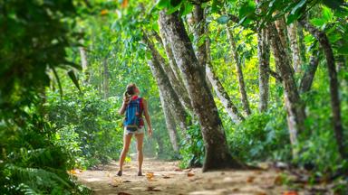 costa-rica_cahuita_wandelen_vrouw_jungle_shutterstock_1087173116