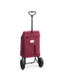 Cruiser - Boodschappenwagen - 62 Liter