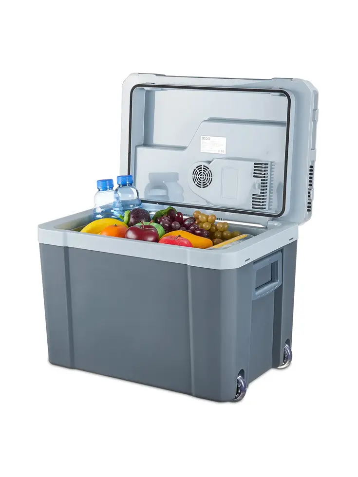 Elektrische koelbox – 40L – 12V/230V