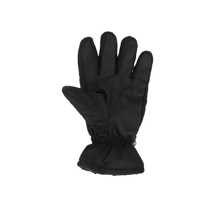 Heren - Ski Handschoenen