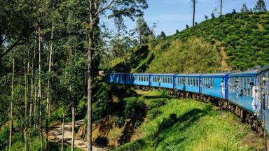 sri lanka_nuwara eliya_trein_theeplantage_b (1)