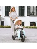 Explorer Luxe Driewieler - Opvouwbaar met mandje