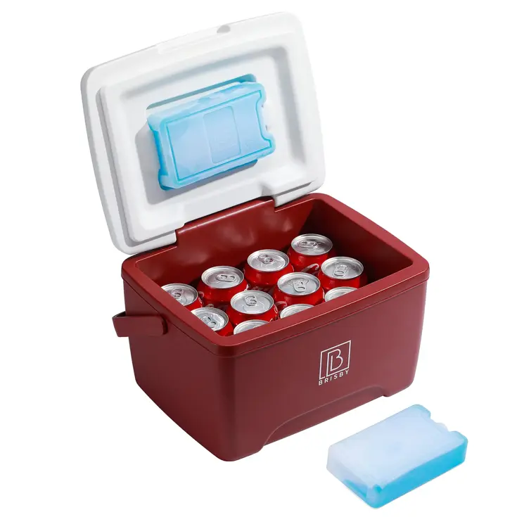 Koelbox - Lunchbox - 8L