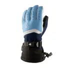 Skihandschoenen heren Perform Gore