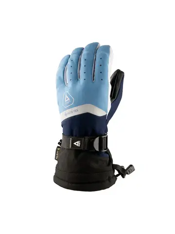 Skihandschoenen heren Perform Gore