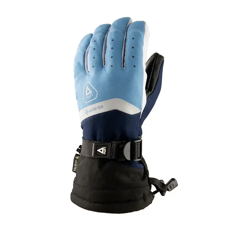 Skihandschoenen heren Perform Gore
