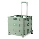 Packaway Boodschappenkrat - 50L