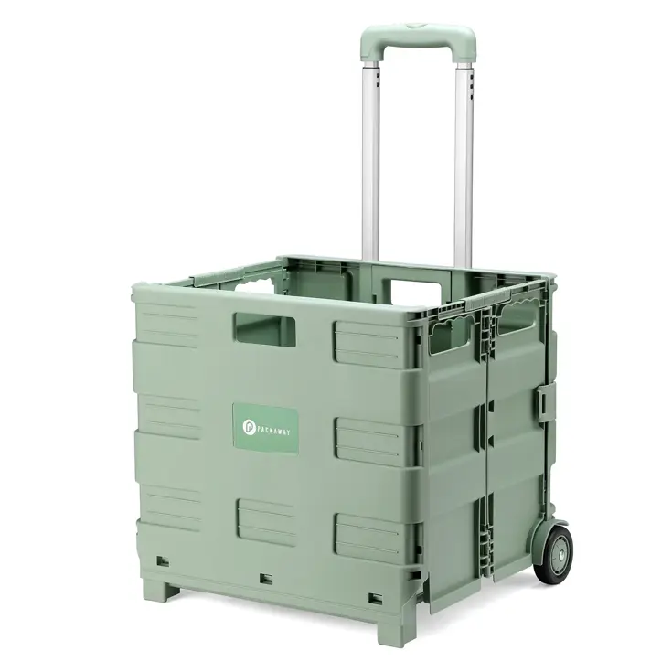 Packaway Boodschappenkrat - 50L