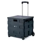 Packaway Boodschappenkrat - Met Deksel