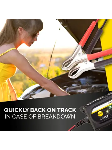 Acculader 6/12V 6 fasen IP65