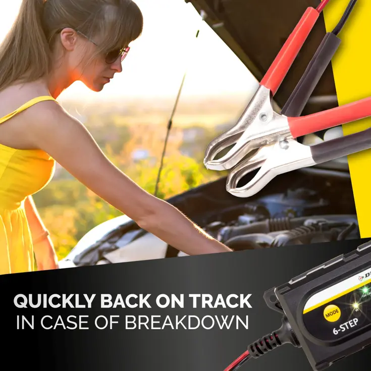 Acculader 6/12V 6 fasen IP65