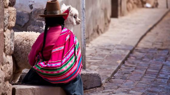peru_cusco_indigena vrouw achterkant klederdracht alpaca_b.jpg