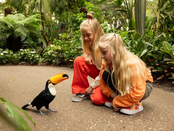 Impressie van Pantropica