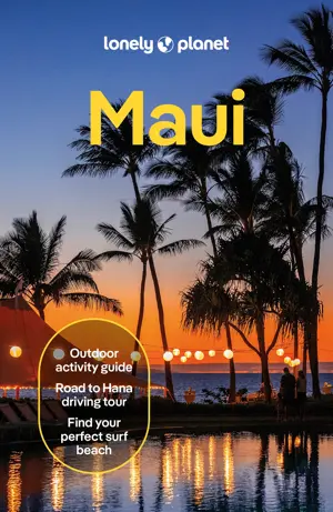 Reisgids Maui 6