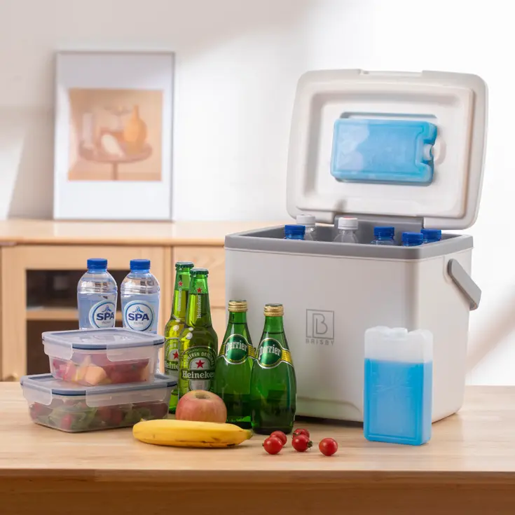 Koelbox - Lunchbox - 13L