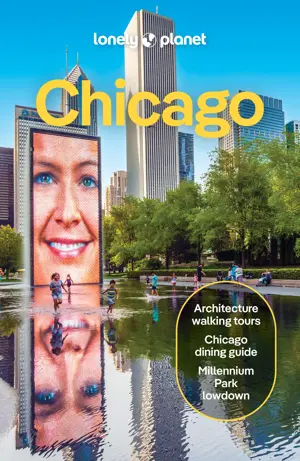 Reisgids Chicago 11
