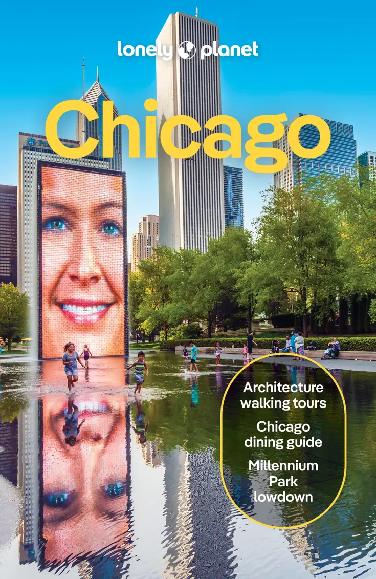 Reisgids Chicago 11