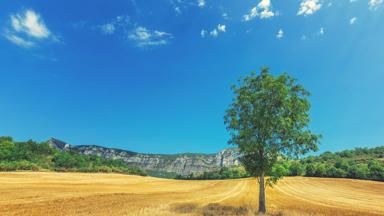 frankrijk_drome_dieulefit_landschap_droog-gras_boom_berg_bergketen_zomer_getty