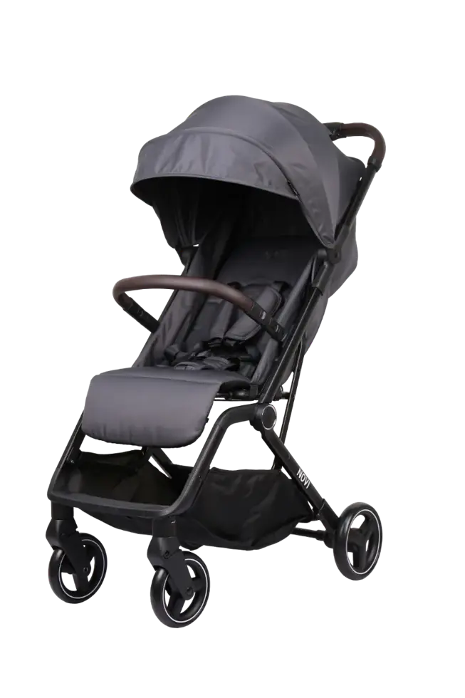 Cloud Go - Buggy