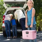 Brisby - Koelbox - 12L - Draaghendel