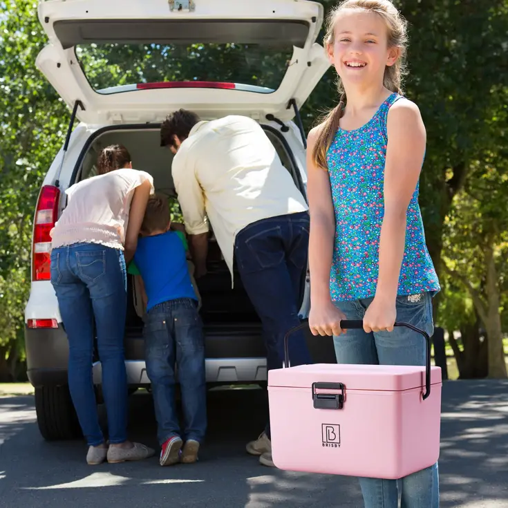 Koelbox - 12L - Draaghendel