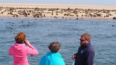 namibie_erongo_swakopmund_boottocht_zeehonden_f.jpg